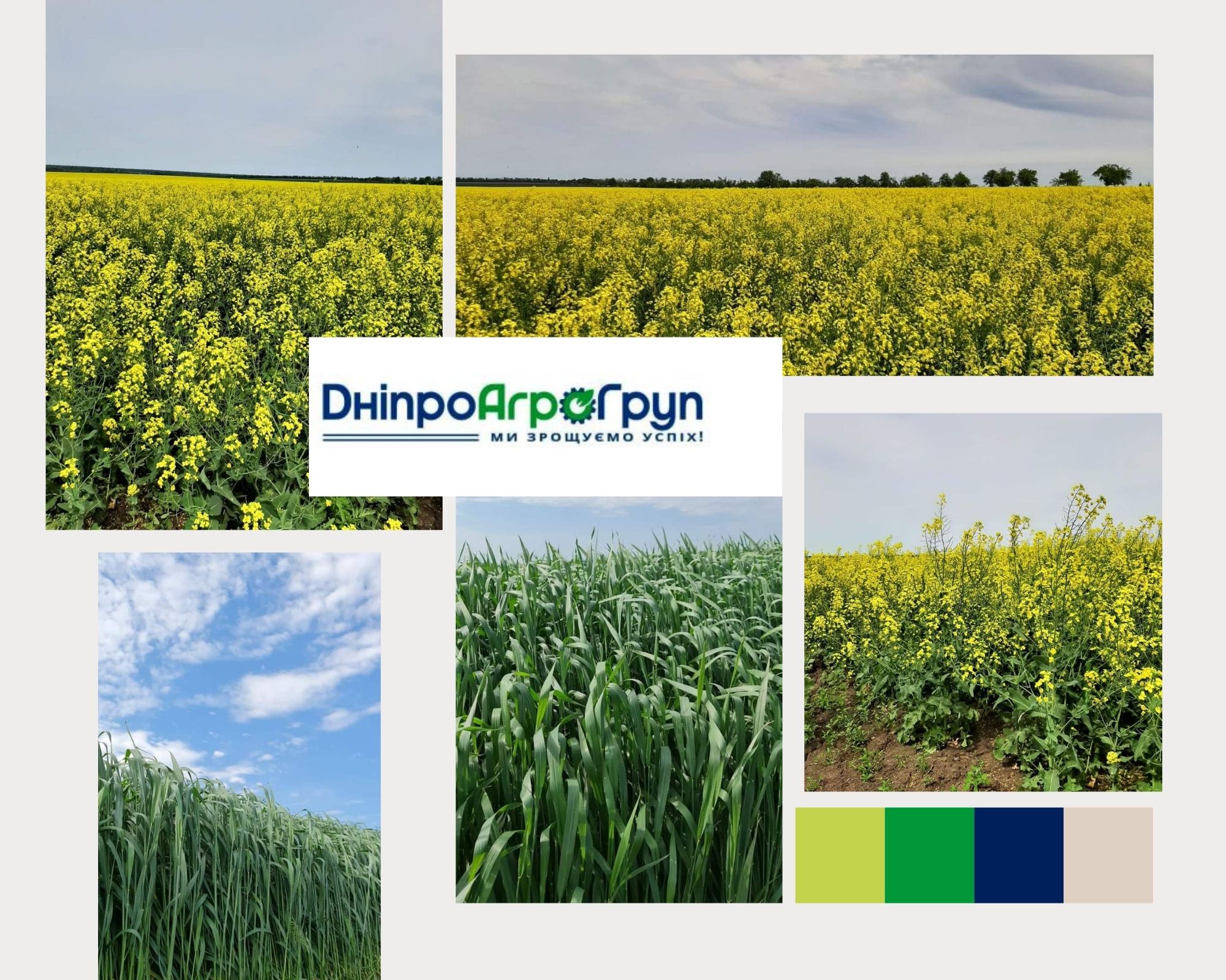 Dnipro Agro Group завершила посівну 2022