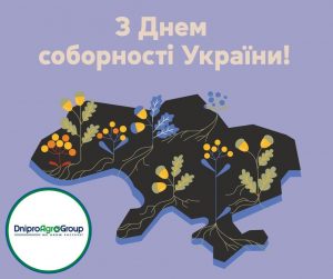 День соборності України