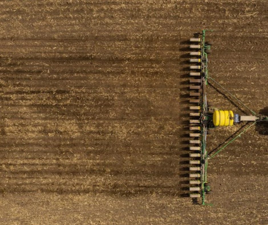 посівна соняшнику 2025